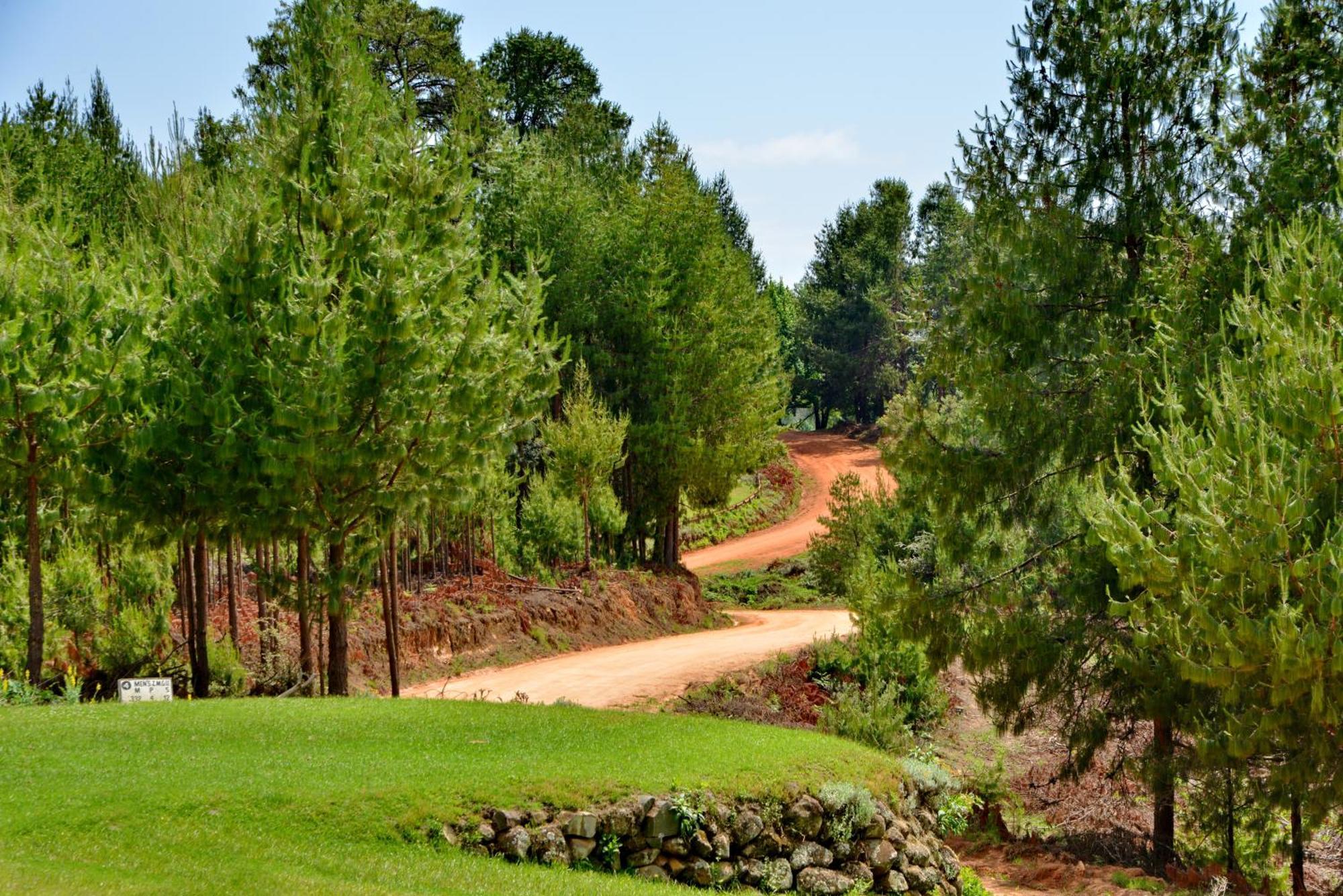 Troutbeck Resort Nyanga Ngoại thất bức ảnh